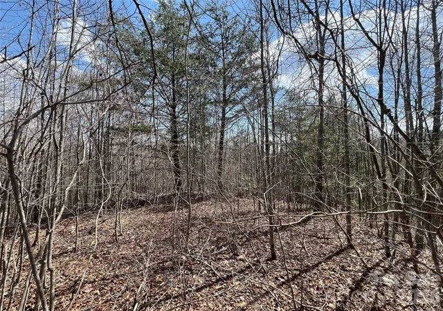 Homes for sale in Marshall, NC | 192 Pine Cone Trl #21, Marshall, NC 28753 | MLS# 4389391