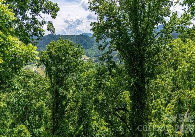 Homes for sale in Leicester, NC | 9999 Sandy Mush Creek Rd, Leicester, NC 28748 | MLS# 4389422