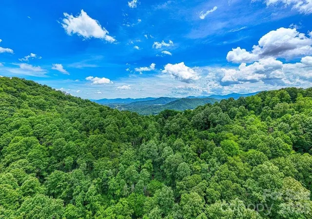 Homes for sale in Leicester, NC | 9999 Sandy Mush Creek Rd, Leicester, NC 28748 | MLS# 4389422