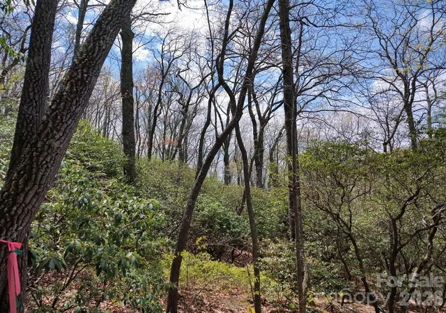Photo 2 of Land for sale at 99999 Red Oak Forest Rd #1418, Fairview, NC 28730 | MLS# 4389521 | Listing updated on 2026-09-30