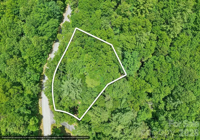4th image of 11 Magnolia Branch Dr, Zirconia, NC 28790 | MLS# 4389803