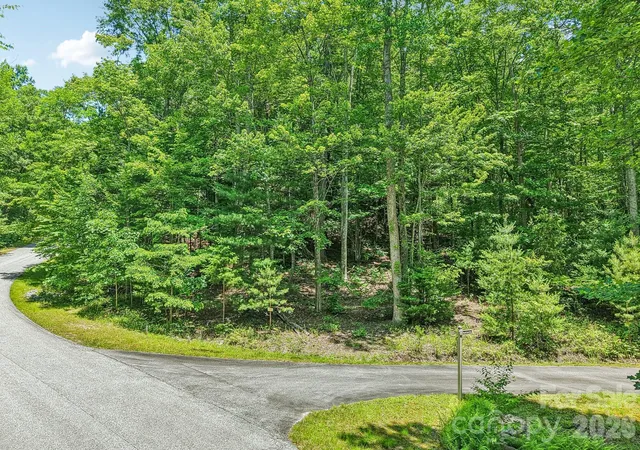 5th image of 11 Magnolia Branch Dr, Zirconia, NC 28790 | MLS# 4389803