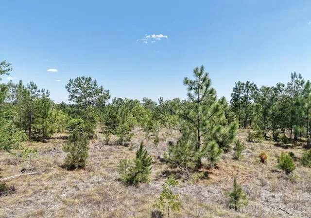 Homes for sale in Patrick, SC | 2 Mcqueen Rd, Patrick, SC 29584 | MLS# 4389829