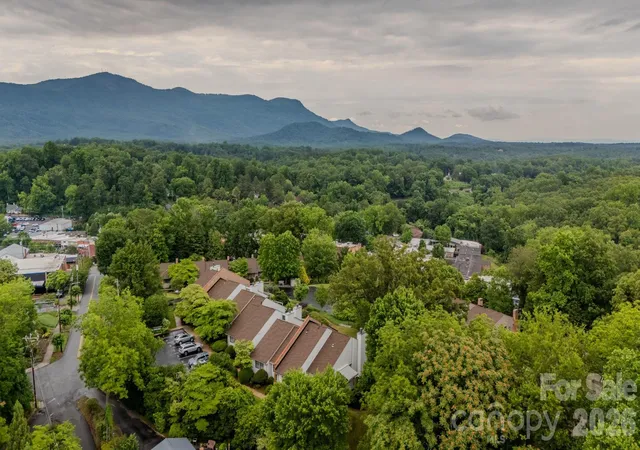 26th image of 77 Chestnut St #106, Tryon, NC 28782 | MLS# 4389953