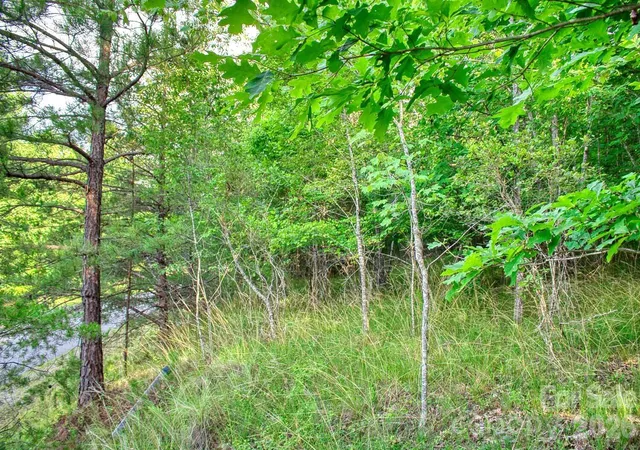 Photo 1 of Land for sale at 0 Cross Crk Dr #68, Rutherfordton, NC 28139 | MLS# 4389992 | Listing updated on 2026-06-14
