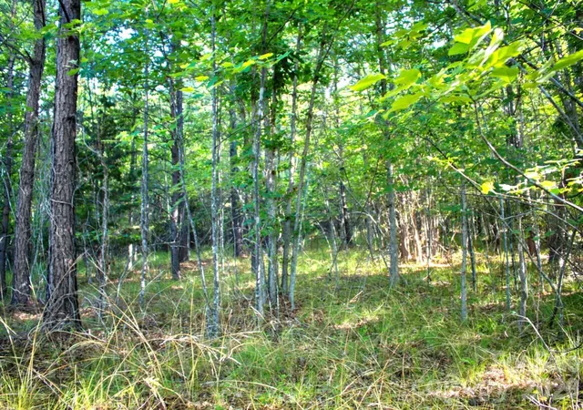 Photo 2 of Land for sale at 0 Cross Crk Dr #68, Rutherfordton, NC 28139 | MLS# 4389992 | Listing updated on 2026-06-14