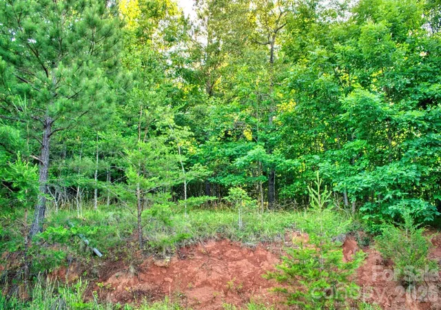 Photo 3 of Land for sale at 0 Cross Crk Dr #68, Rutherfordton, NC 28139 | MLS# 4389992 | Listing updated on 2026-06-14