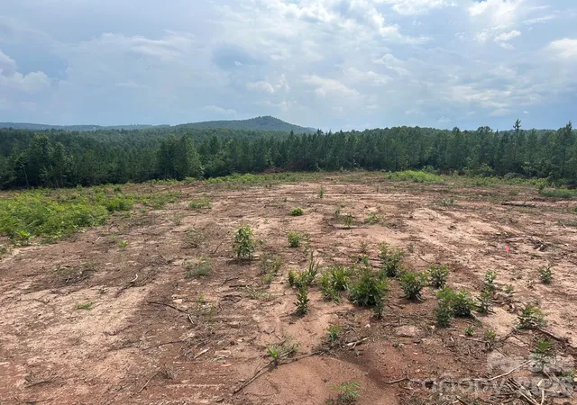 2nd image of Tbd Vein Mountain Rd #20, Nebo, NC 28761 | MLS# 4390111
