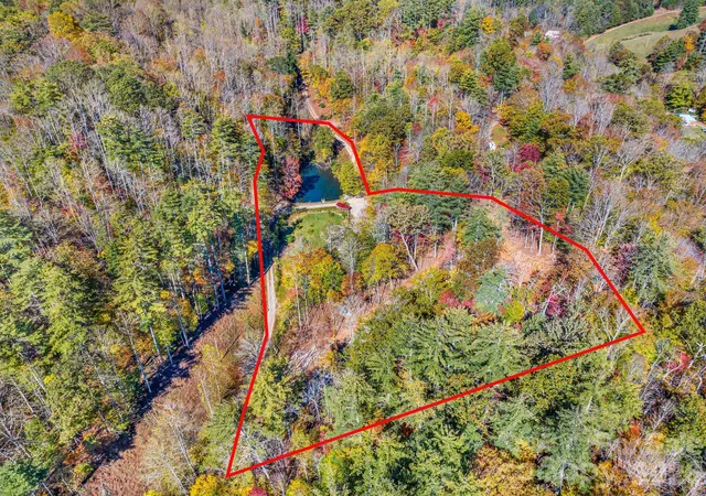 47th image of 226 Fish Pond Ln, Burnsville, NC 28714 | MLS# 4390266