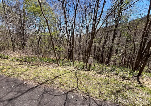 Photo 3 of Land for sale at Lot 62 Bob Timberlake Dr #62, Boone, NC 28607 | MLS# 4390297 | Listing updated on 2026-08-26