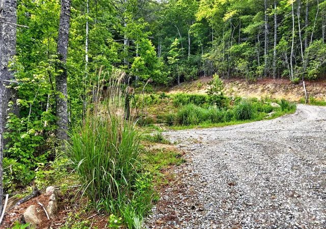 4th image of 263 E Lester Ln, Hendersonville, NC 28739 | MLS# 4390308