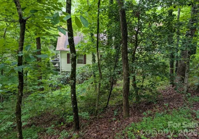 Homes for sale in Hayesville, NC | 197 Dogwood Dr, Hayesville, NC 28904 | MLS# 4390310