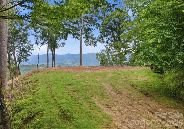 Photo 1 of Land for sale at 99999 Davidson Gap Rd #79, Leicester, NC 28748 | MLS# 4390344 | Listing updated on 2026-08-17