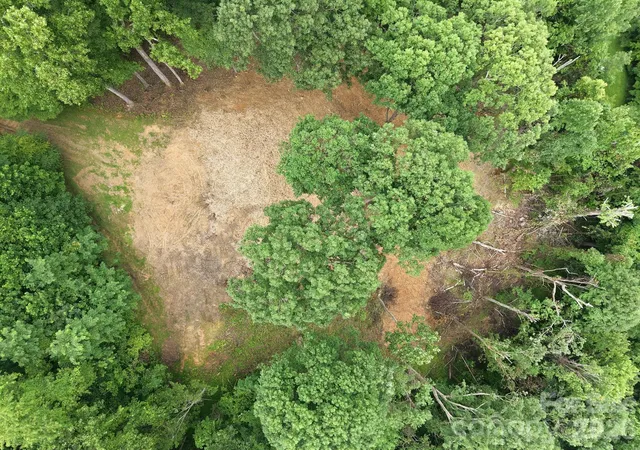 Photo 4 of Land for sale at 99999 Davidson Gap Rd #79, Leicester, NC 28748 | MLS# 4390344 | Listing updated on 2026-08-17