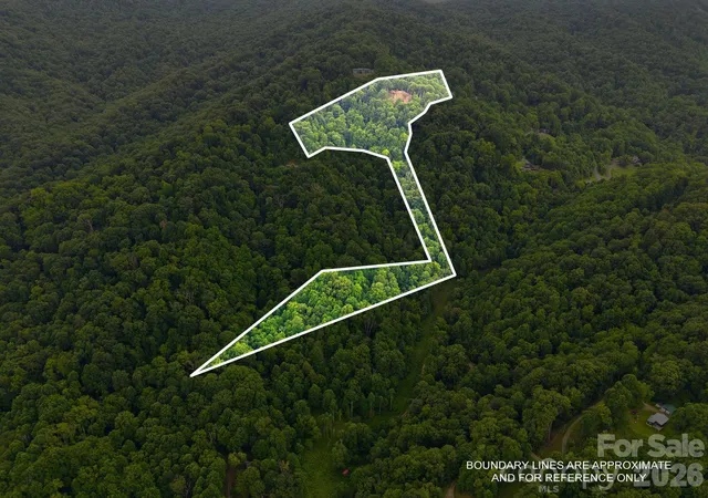Photo 5 of Land for sale at 99999 Davidson Gap Rd #79, Leicester, NC 28748 | MLS# 4390344 | Listing updated on 2026-08-17