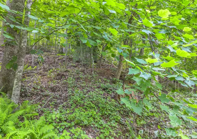 Photo 4 of Land for sale at 00 Rainbow Cir #11, Lake Lure, NC 28746 | MLS# 4390393 | Listing updated on 2026-09-27