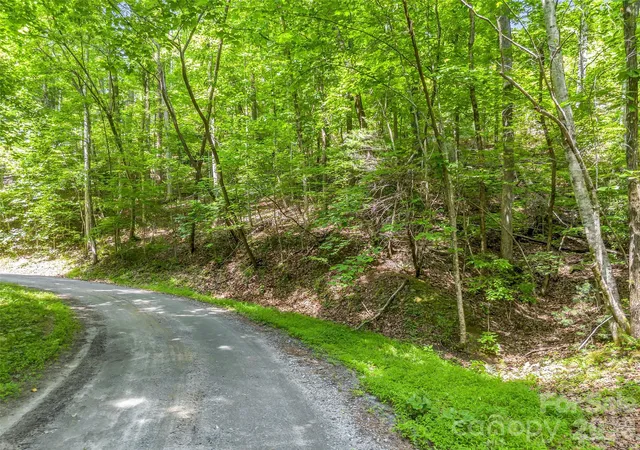 Photo 3 of Land for sale at 00 Chipmonk Trl #107, Lake Lure, NC 28746 | MLS# 4390399 | Listing updated on 2026-09-27