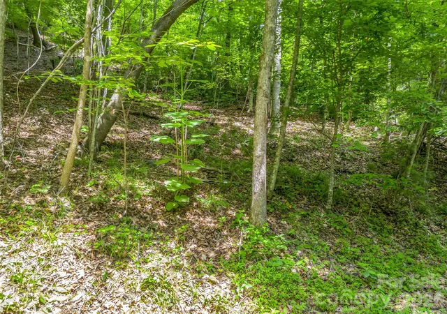 Photo 3 of Land for sale at 00 Chipmonk Trl #107, Lake Lure, NC 28746 | MLS# 4390399 | Listing updated on 2026-09-27