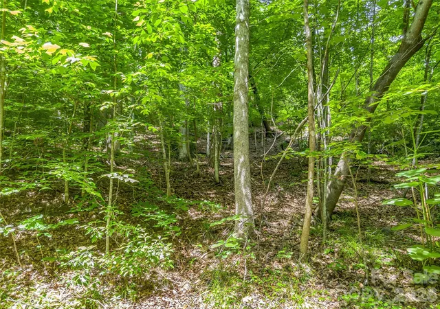 Photo 4 of Land for sale at 00 Chipmonk Trl #107, Lake Lure, NC 28746 | MLS# 4390399 | Listing updated on 2026-09-27