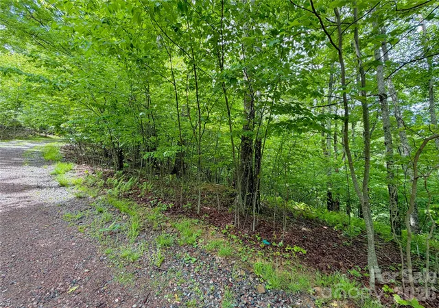 Homes for sale in Banner Elk, NC | Tbd Grandfather Watch Ln, Banner Elk, NC 28607 | MLS# 4390407