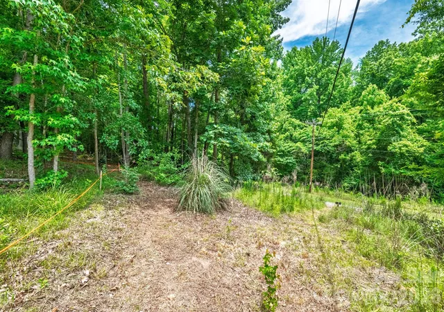Photo 3 of Land for sale at 229 Ballard Ct, Fort Mill, SC 29715 | MLS# 4390419 | Listing updated on 2026-08-11