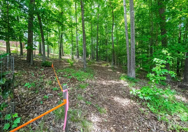 Photo 4 of Land for sale at 229 Ballard Ct, Fort Mill, SC 29715 | MLS# 4390419 | Listing updated on 2026-10-02