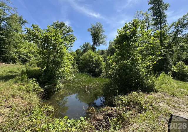 4th image of 473 Mcentire Rd, Tryon, NC 28782 | MLS# 4390436