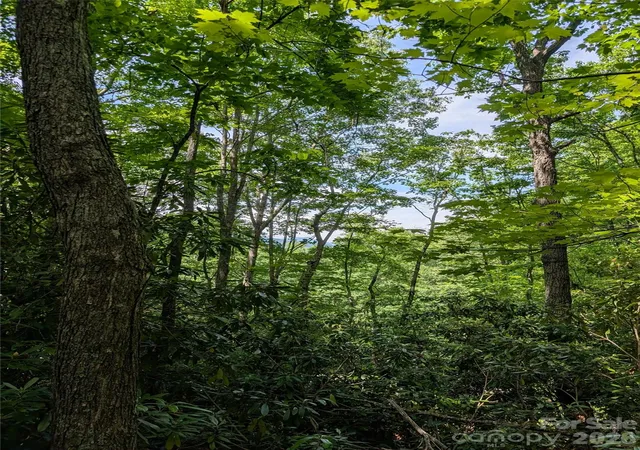 2nd image of 000 Pisgah Hwy, Candler, NC 28715 | MLS# 4390458