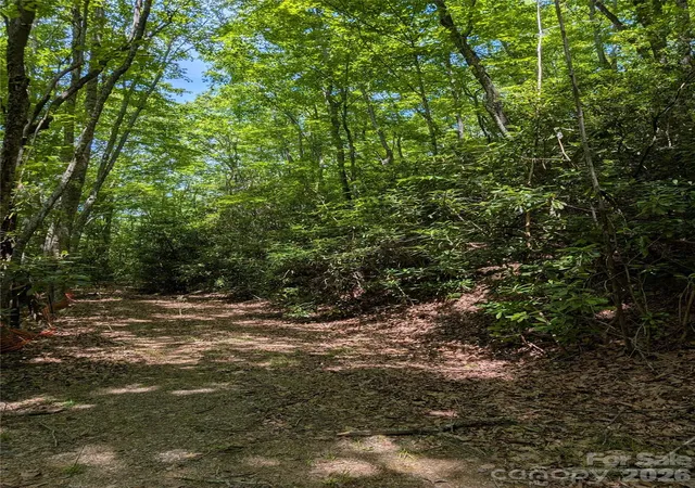 4th image of 000 Pisgah Hwy, Candler, NC 28715 | MLS# 4390458