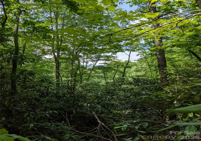5th image of 000 Pisgah Hwy, Candler, NC 28715 | MLS# 4390458