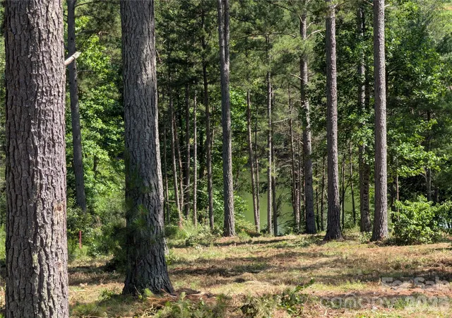 1st image of 2134 Princeton Mountain Mountain #60, Connelly Springs, NC 28612 | MLS# 4390465