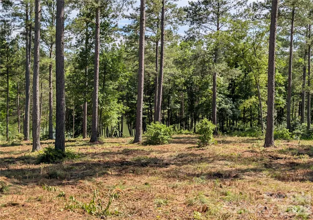 2nd image of 2134 Princeton Mountain Mountain #60, Connelly Springs, NC 28612 | MLS# 4390465