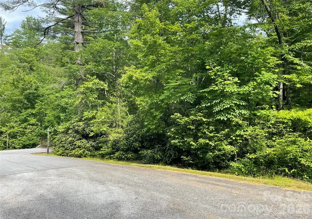 Homes for sale in Rosman, NC | Lot 45 Abby Falls Dr, Rosman, NC 28772 | MLS# 4390637
