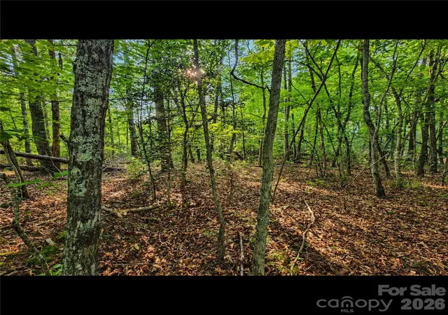 Photo 4 of Land for sale at 547 James View Rd, Marion, NC 28752 | MLS# 4390667 | Listing updated on 2026-08-13