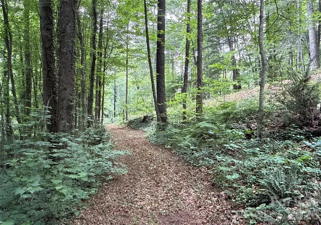 Photo 4 of Land for sale at 9999 Sunset Dr, Black Mountain, NC 28711 | MLS# 4390842 | Listing updated on 2026-06-13