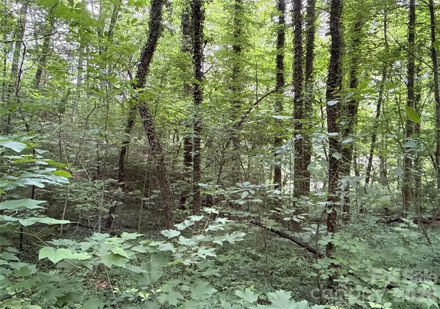 Photo 5 of Land for sale at 9999 Sunset Dr, Black Mountain, NC 28711 | MLS# 4390842 | Listing updated on 2026-06-13