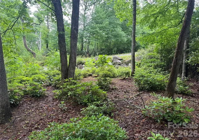 Homes for sale in Spruce Pine, NC | Tbd Dogwood Trl, Spruce Pine, NC 28777 | MLS# 4390879