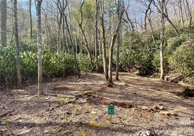Homes for sale in Spruce Pine, NC | Tbd Dogwood Trl, Spruce Pine, NC 28777 | MLS# 4390879