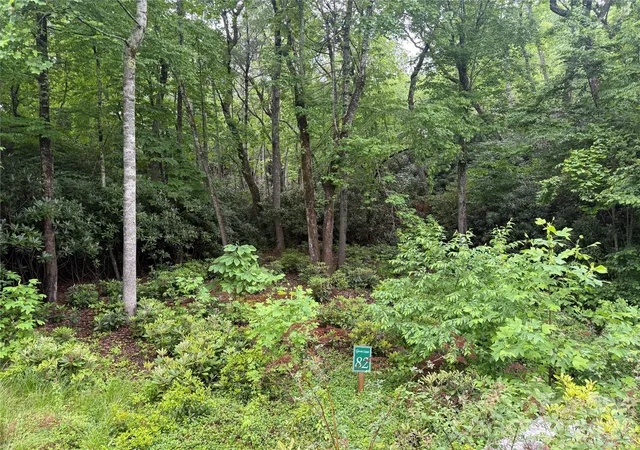 Photo 3 of Land for sale at Tbd Dogwood Trl, Spruce Pine, NC 28777 | MLS# 4390879 | Listing updated on 2026-06-08