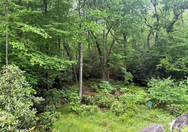 Photo 4 of Land for sale at Tbd Dogwood Trl, Spruce Pine, NC 28777 | MLS# 4390879 | Listing updated on 2026-06-08