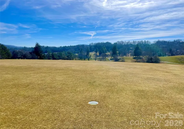 Homes for sale in Spruce Pine, NC | Tbd Dogwood Trl, Spruce Pine, NC 28777 | MLS# 4390879