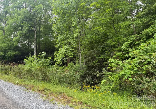 Photo 5 of Land for sale at Tbd Dogwood Trl, Spruce Pine, NC 28777 | MLS# 4390879 | Listing updated on 2026-06-08