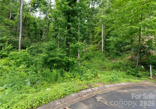 3rd image of 334 Carriage Crest Dr, Hendersonville, NC 28791 | MLS# 4390972