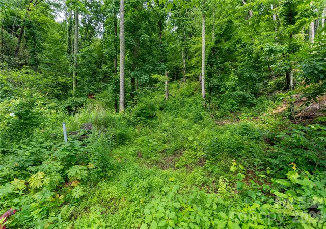 4th image of 334 Carriage Crest Dr, Hendersonville, NC 28791 | MLS# 4390972