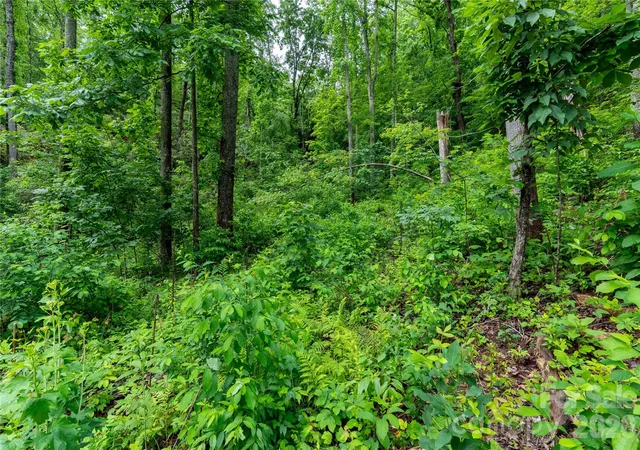 5th image of 334 Carriage Crest Dr, Hendersonville, NC 28791 | MLS# 4390972