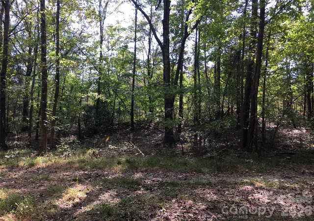 Photo 3 of Land for sale at 8300 Hickory Dr, Charlotte, NC 28215 | MLS# 4390984 | Listing updated on 2026-08-31