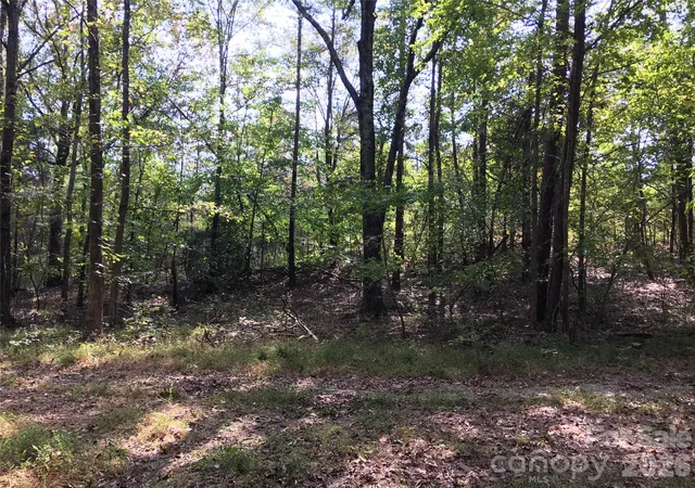Photo 4 of Land for sale at 8300 Hickory Dr, Charlotte, NC 28215 | MLS# 4390984 | Listing updated on 2026-08-31
