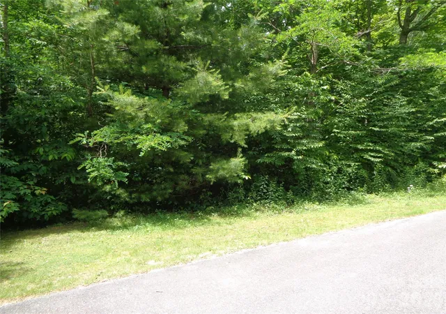 Photo 11 of Land for sale at Lot 6 Peaks Crk Trl, Maggie Valley, NC 28751 | MLS# 4391126 | Listing updated on 2026-06-13
