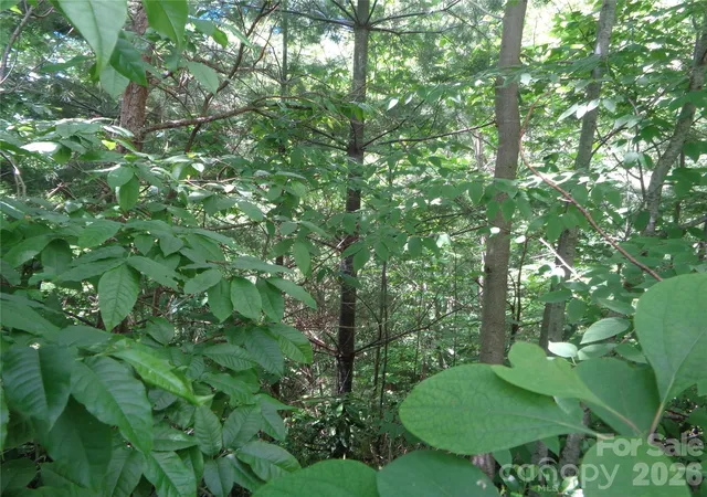 Photo 2 of Land for sale at Lot 6 Peaks Crk Trl, Maggie Valley, NC 28751 | MLS# 4391126 | Listing updated on 2026-06-13