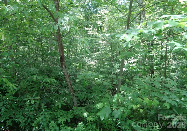 Photo 5 of Land for sale at Lot 6 Peaks Crk Trl, Maggie Valley, NC 28751 | MLS# 4391126 | Listing updated on 2026-06-13